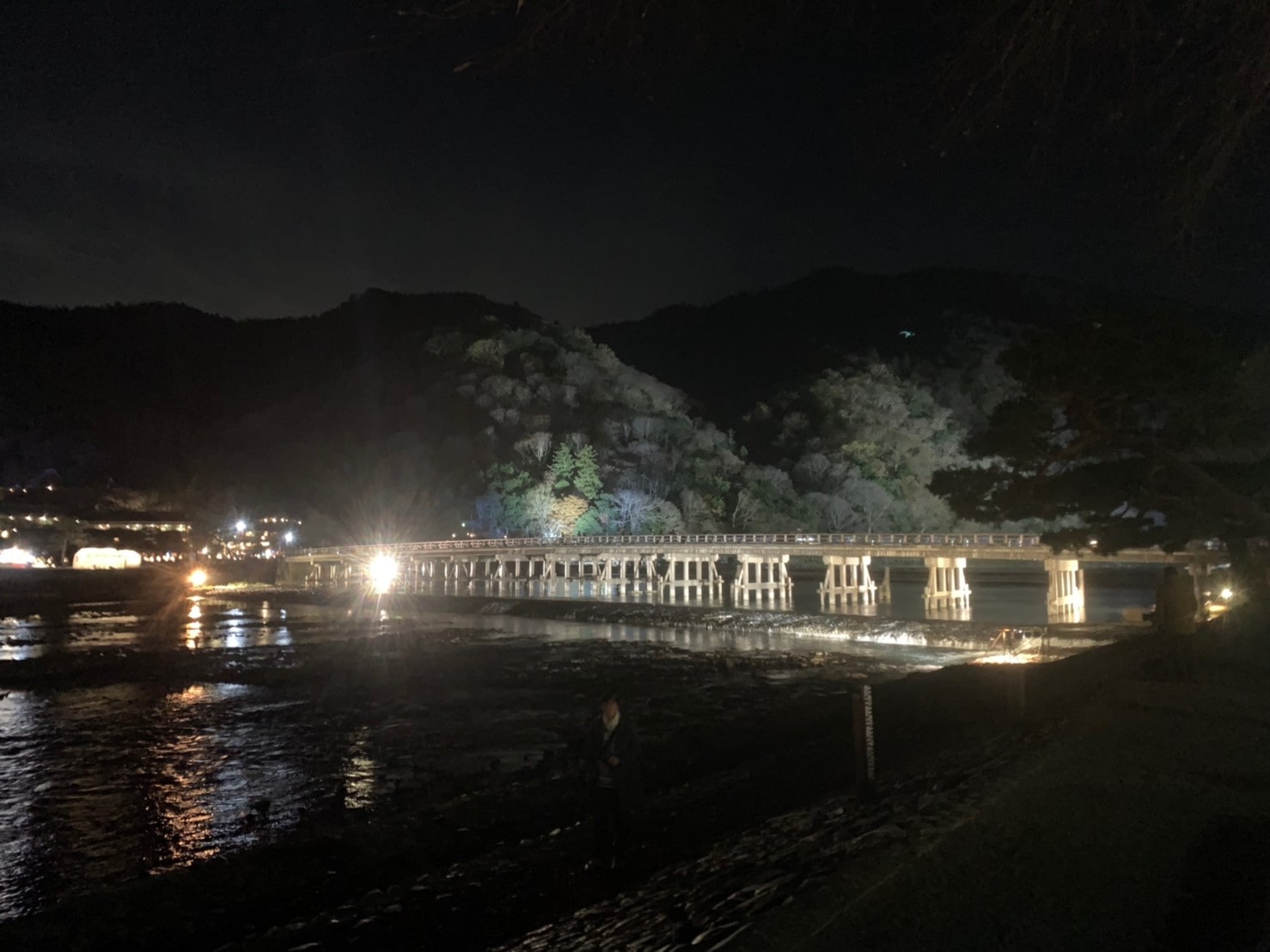 京都　嵐山花灯路 見どころ　渡月橋 ライトアップ